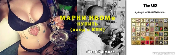 прущие грибы Красноперекопск