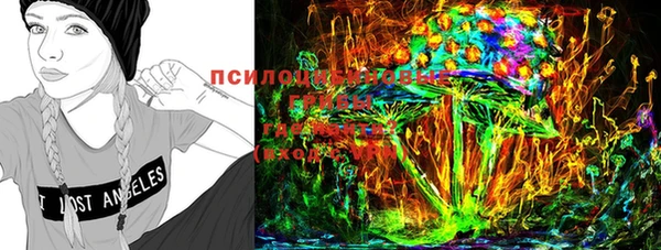 ПСИЛОЦИБИНОВЫЕ ГРИБЫ Краснотурьинск