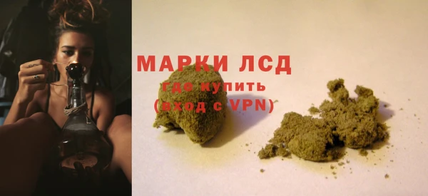 прущие грибы Красноперекопск