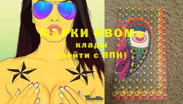 прущие грибы Красноперекопск