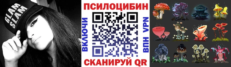 Галлюциногенные грибы прущие грибы Купить закладки Спасск