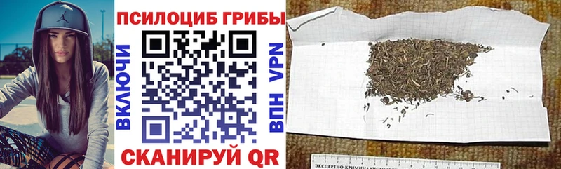 Галлюциногенные грибы GOLDEN TEACHER Спасск